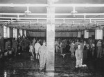Survivors congregate in the Dachau shower barracks after liberation.