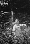 A young German-Jewish boy works in a garden.

Pictured is Rolf Blumenthal.