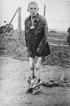 Close-up portrait of an emaciated survivor wearing only the shirt of his uniform [probably in the Nordhausen concentration camp].