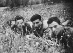 Three German-Jewish young men pose together in a grassy field of wild flowers.