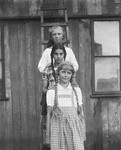 Three girls stand behind one another on a ladder.