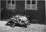 A pile of corpses waits to buried at Buchenwald after the liberation.