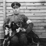 SS-man Papka poses with two puppies in the Gross-Rosen concentration camp.