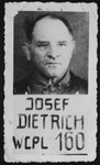Mugshot of General Josef (Sepp) Dietrich, a defendant in the Malmedy Atrocity trial.