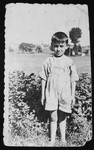 A young Polish child who became the adopted "brother" of a Jewish child in hiding stands in a field in his small village in Poland.