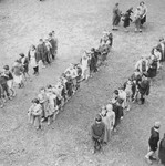Young children stand in lines in an outdoor field in an unidentified OSE post-war children's home.