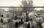 Tent city for passengers on the Pentcho following their shipwreck.