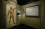 One segment from the special exhibition, "Deadly Medicine: Creating the Master Race," U.S.