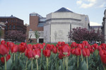 View of the U.S. Holocaust Memorial Museum from a tulip garden across 15th Street.